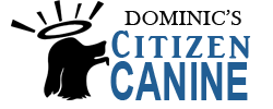 Dominics Citizen Canine
